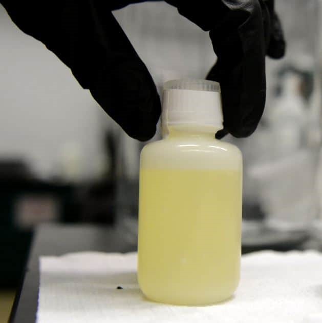Synthetic Urine Women Kit Pointer Ridge Atlanta GA